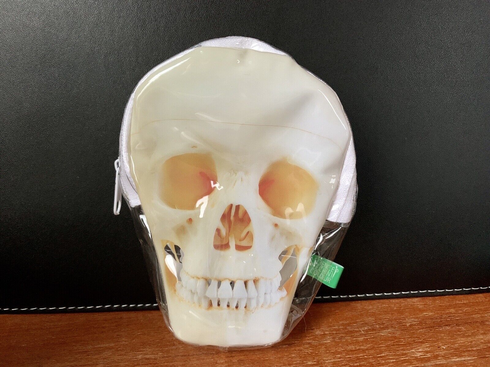 Science Techni Colour Human Skull Coin Case Pouch 5” Rare Japan Novelty Toy F/S