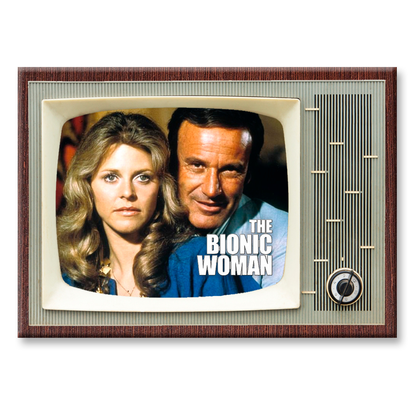 THE BIONIC WOMAN TV Show Classic TV 3.5 inches x 2.5 inches FRIDGE MAGNET