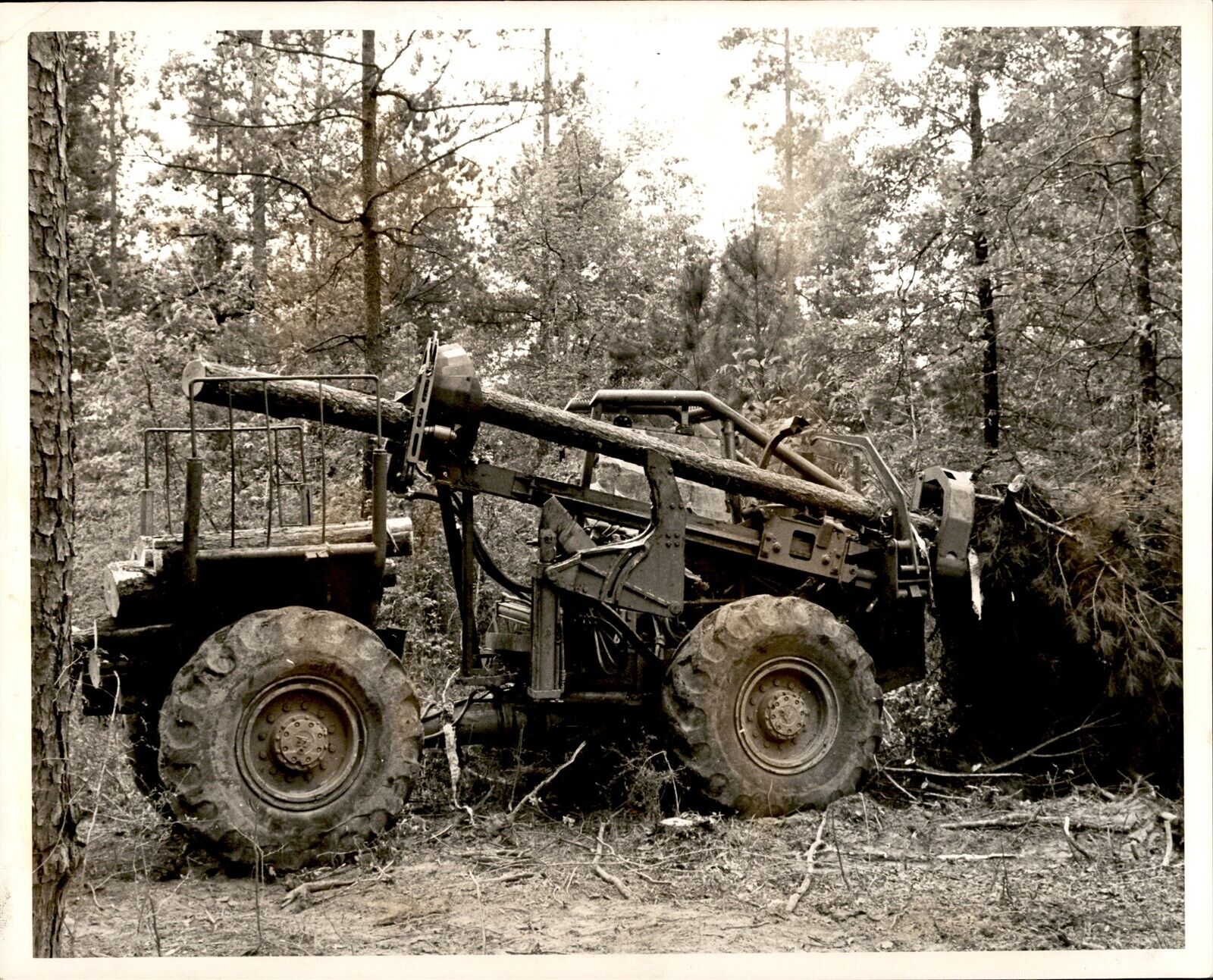LG13 1942 Original Photo PULPWOOD INDUSTRY Vehicle Deforestation Hauling Trees
