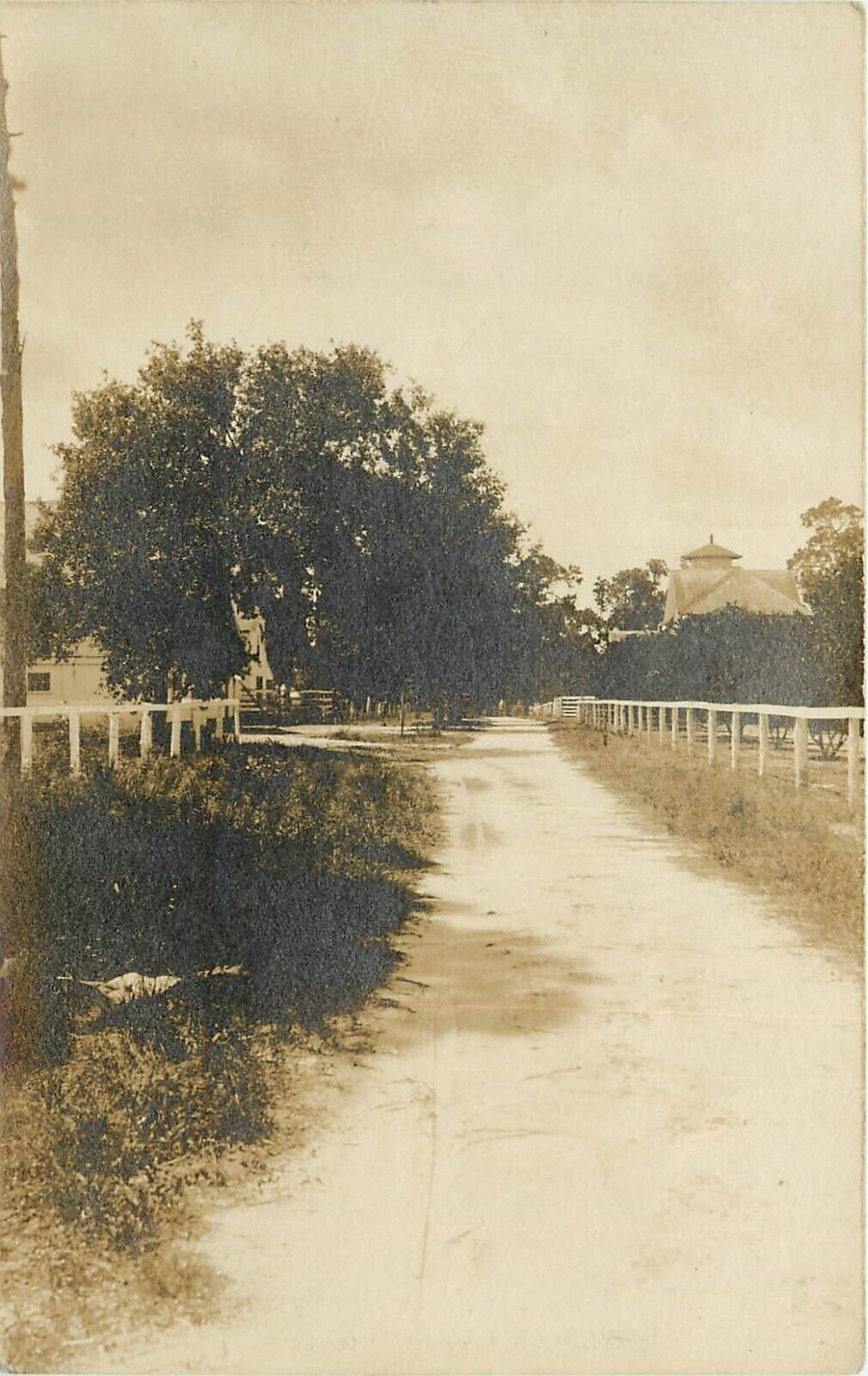 Old Rural Country Road RPPC Postcard