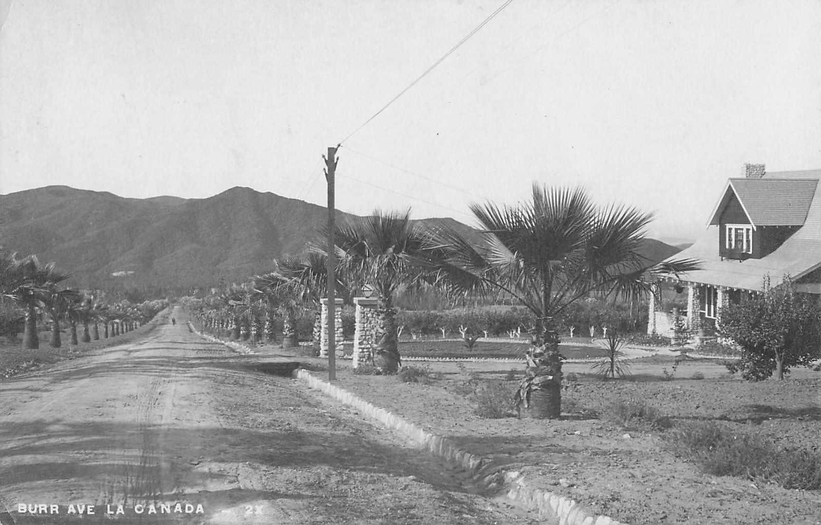1910s RPPC Burr Ave LA CANADA Street Scene Palm Trees Real Photo Postcard CA