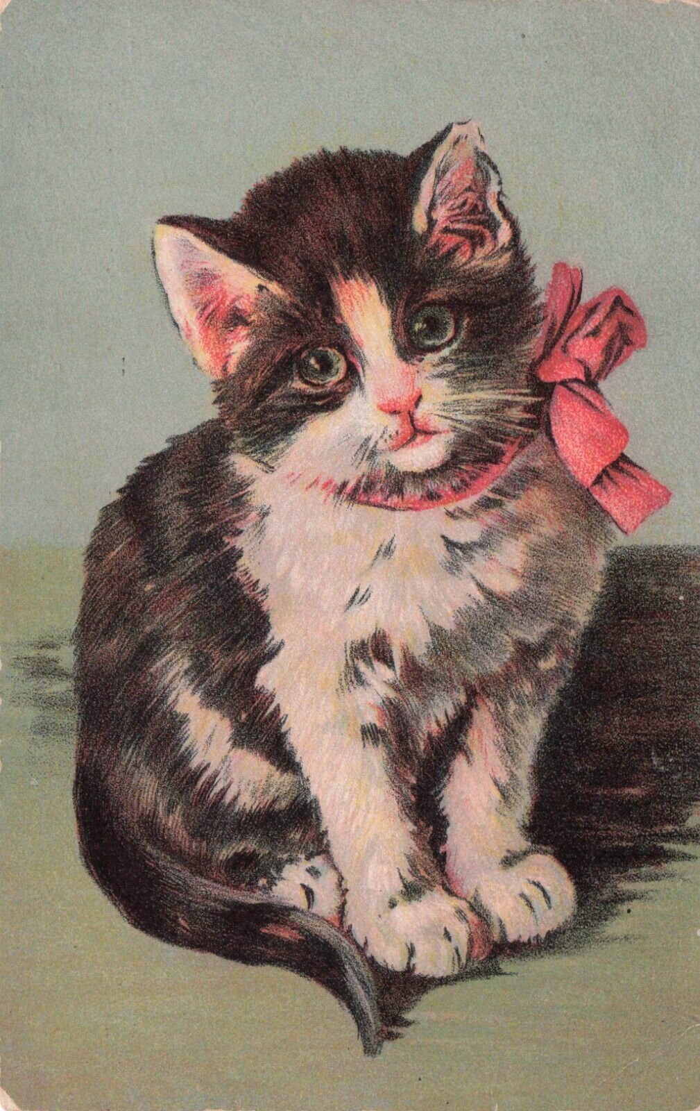 Artist card Black & White Tuxedo Kitten Sitting Vintage Postcard c1907-17