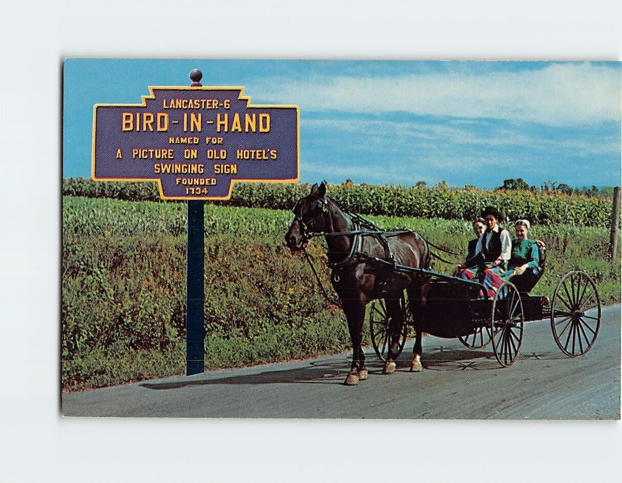 Postcard Greetings from Bird-in-Hand Pennsylvania USA