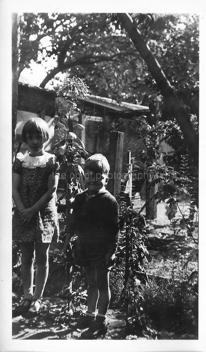 GARDEN PORTRAIT Vintage FOUND PHOTOGRAPH bw CHILDREN Original GIRL BOY  011 14 X