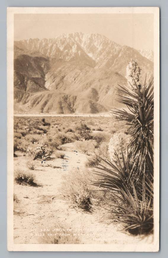San Jacinto CA Morongo Valley RPPC White Water DPO Frashers Photo~Willard? 1931