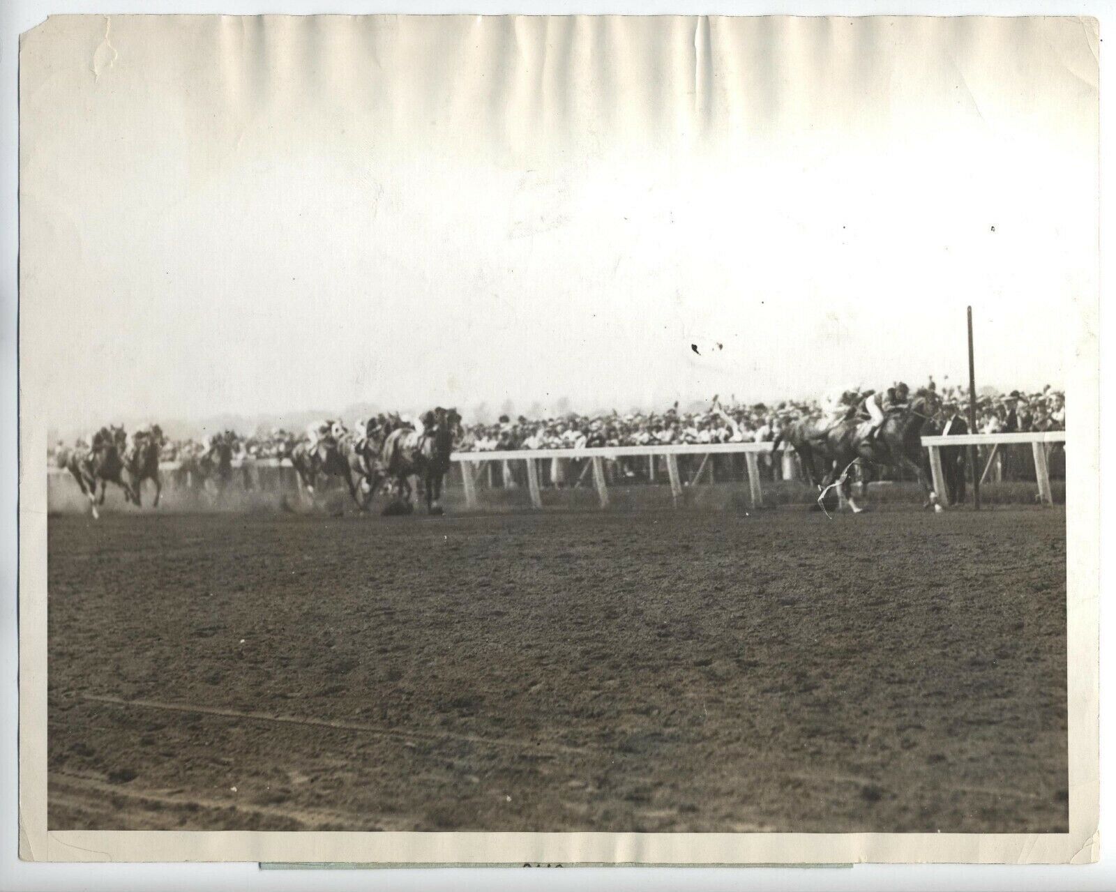 WISE COUNSELLOR INTERNATIONAL BELMONT HORSE RACING BEAT EPINARD 1924 PRESS PHOTO