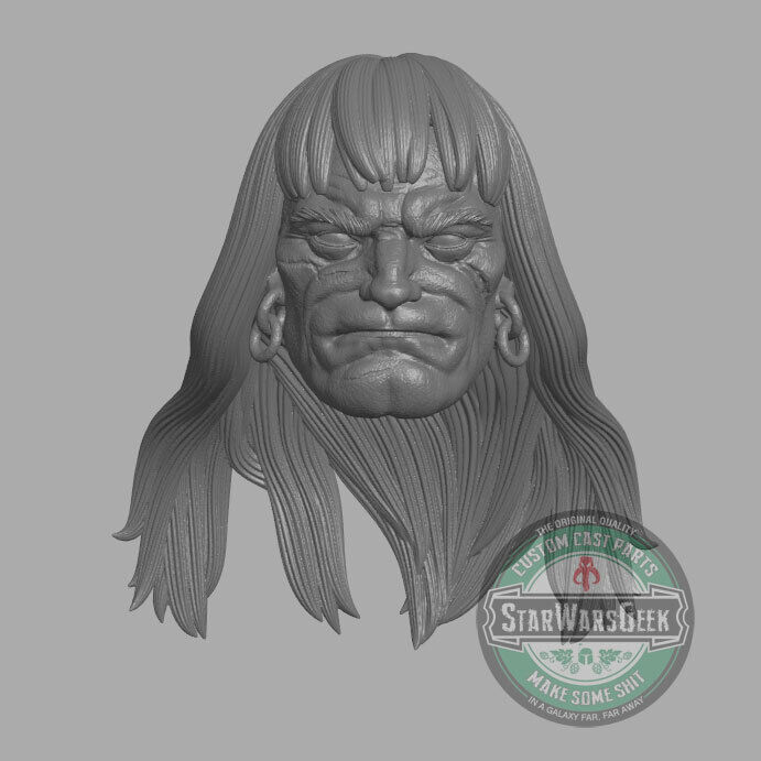 Conan the Barbarian Frank Frazetta version custom head for action figures