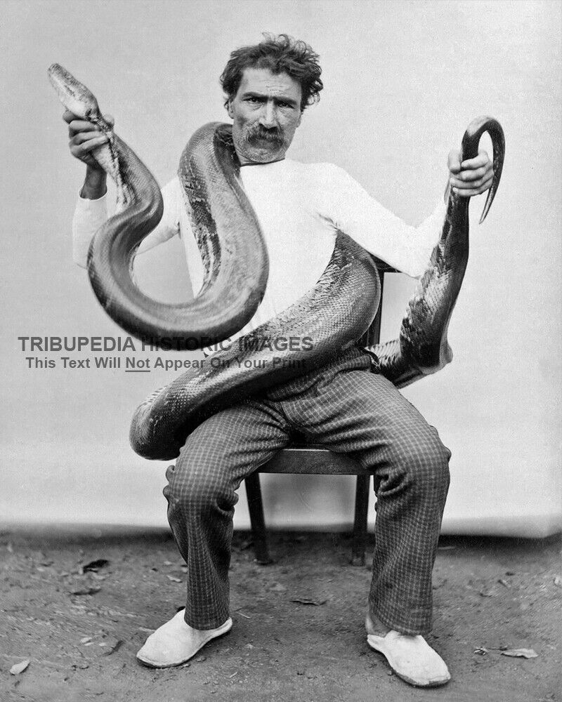 1890s Vintage Photo * Man w/ Snake Around His Neck * Bizarre Odd Strange Weird