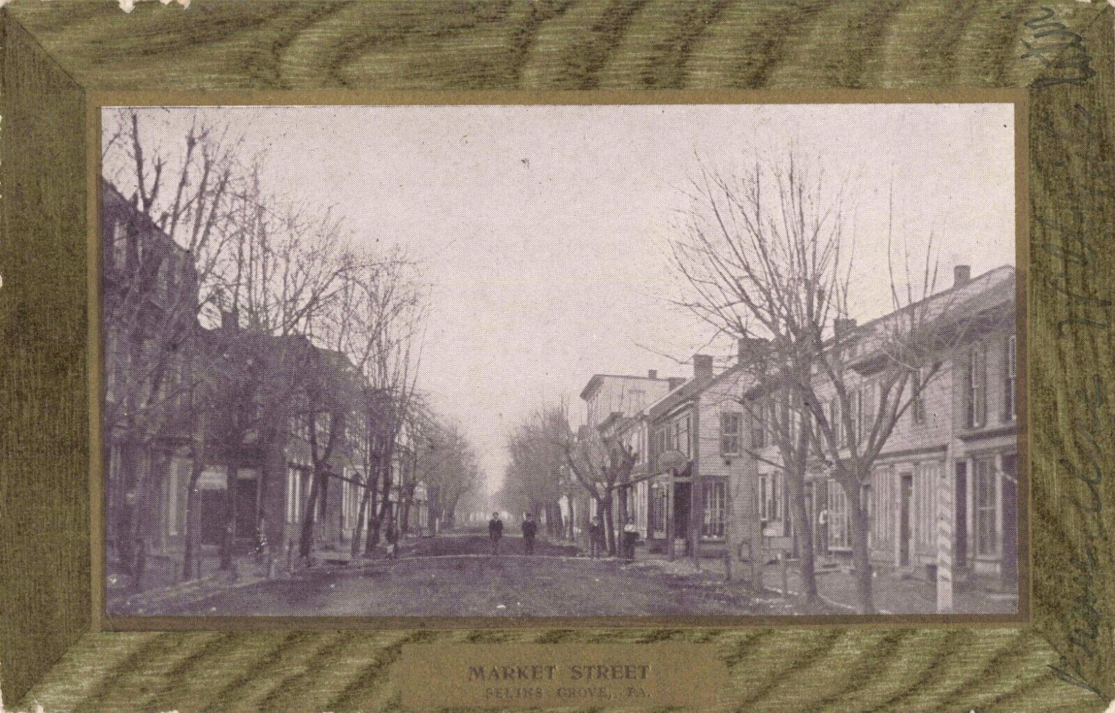 Market Street Selinsgrove Pennsylvania PA 1906 Postcard