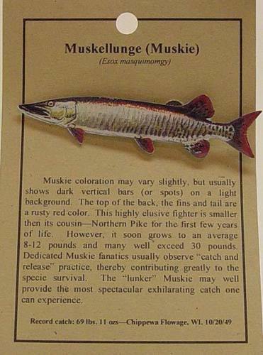 NEW MUSKELLUNGE MUSKIE  FISH HAT PIN LAPEL PINS 