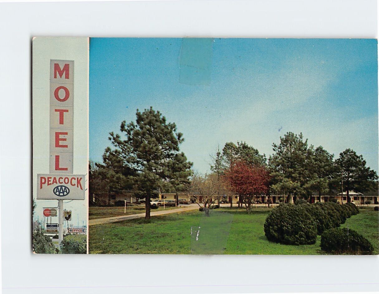 Postcard The Peacock Motor Inn Cape Charles Virginia USA