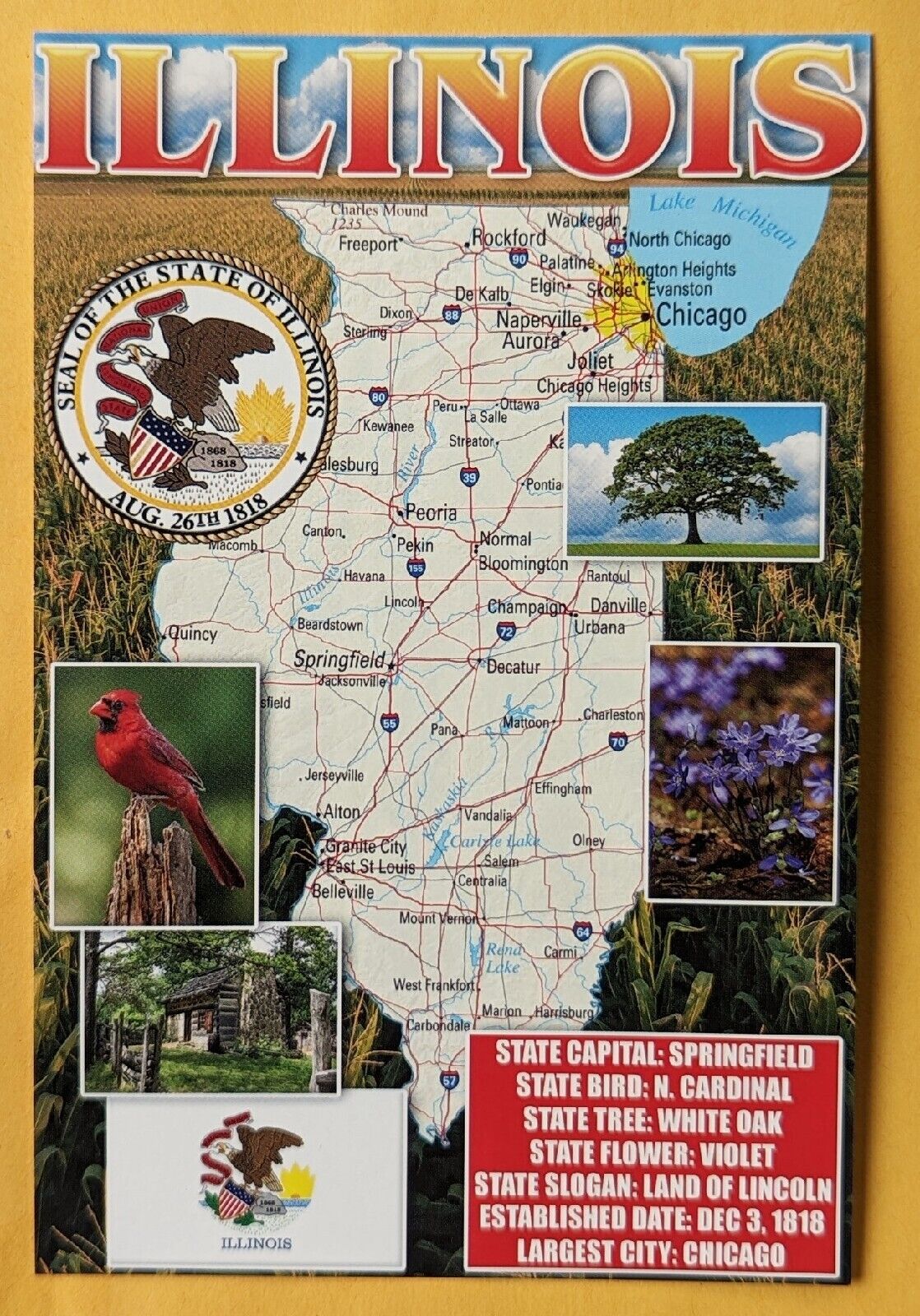 Postcard IL: State Map of Illinois 