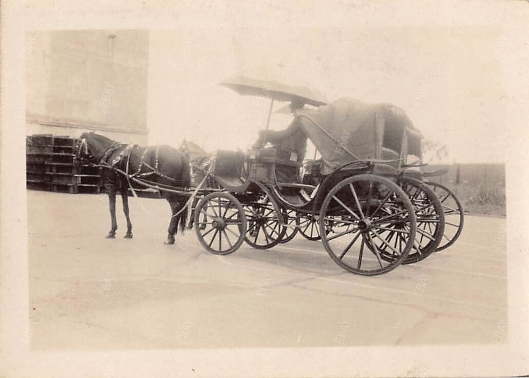 Old Photo Snapshot Man Riding On Horse Carriage #28 Z23