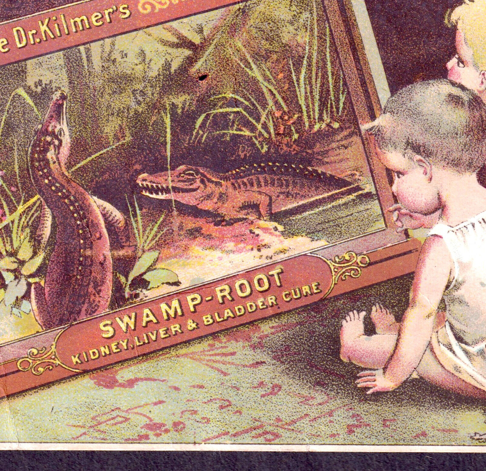 Dr Kilmers Swamp Root Cure Quack Blood Remedy Alligator Ad Victorian Trade Card