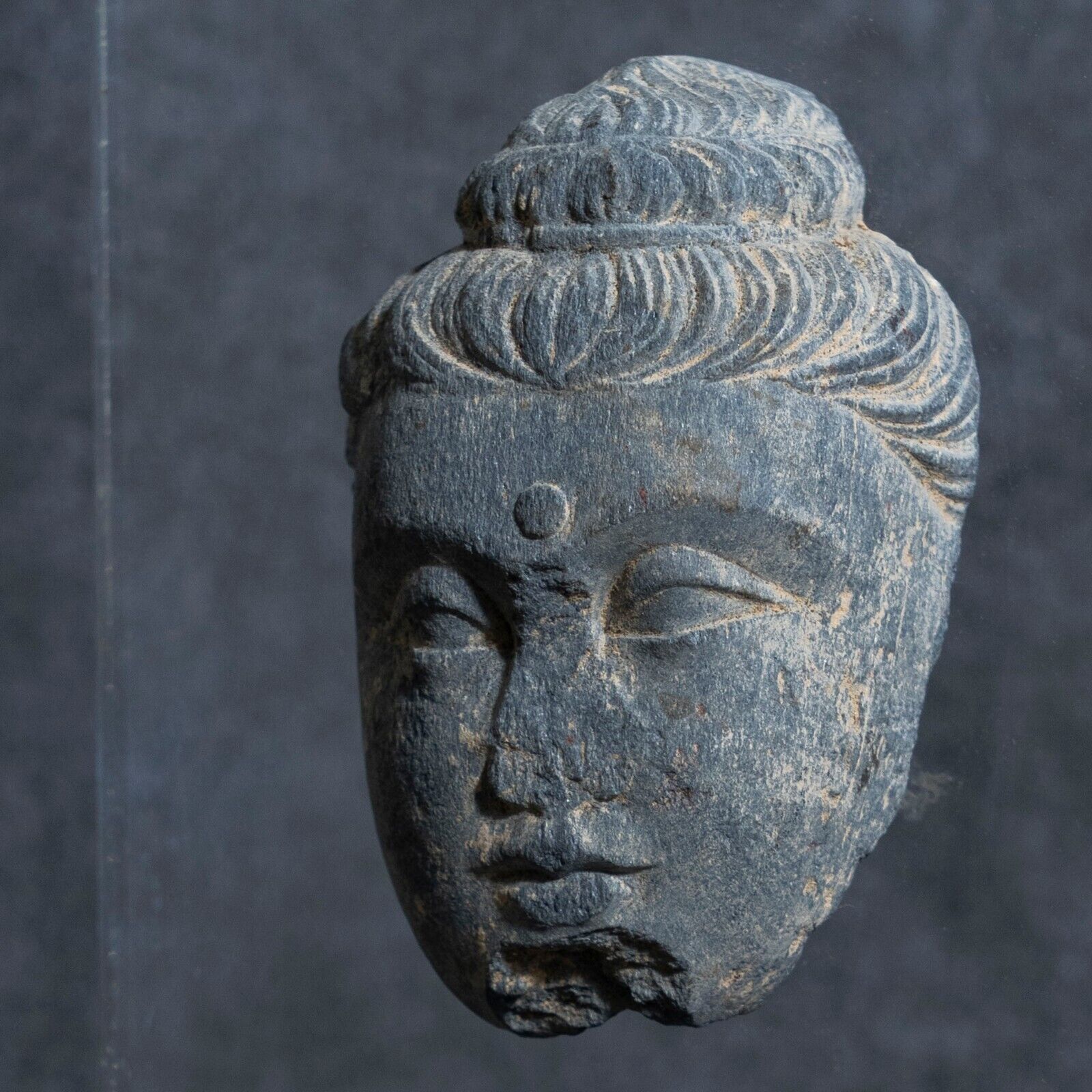 Indian Antique Buddhist Gandhara Schist Head of Buddha 3rd-5th Century AD