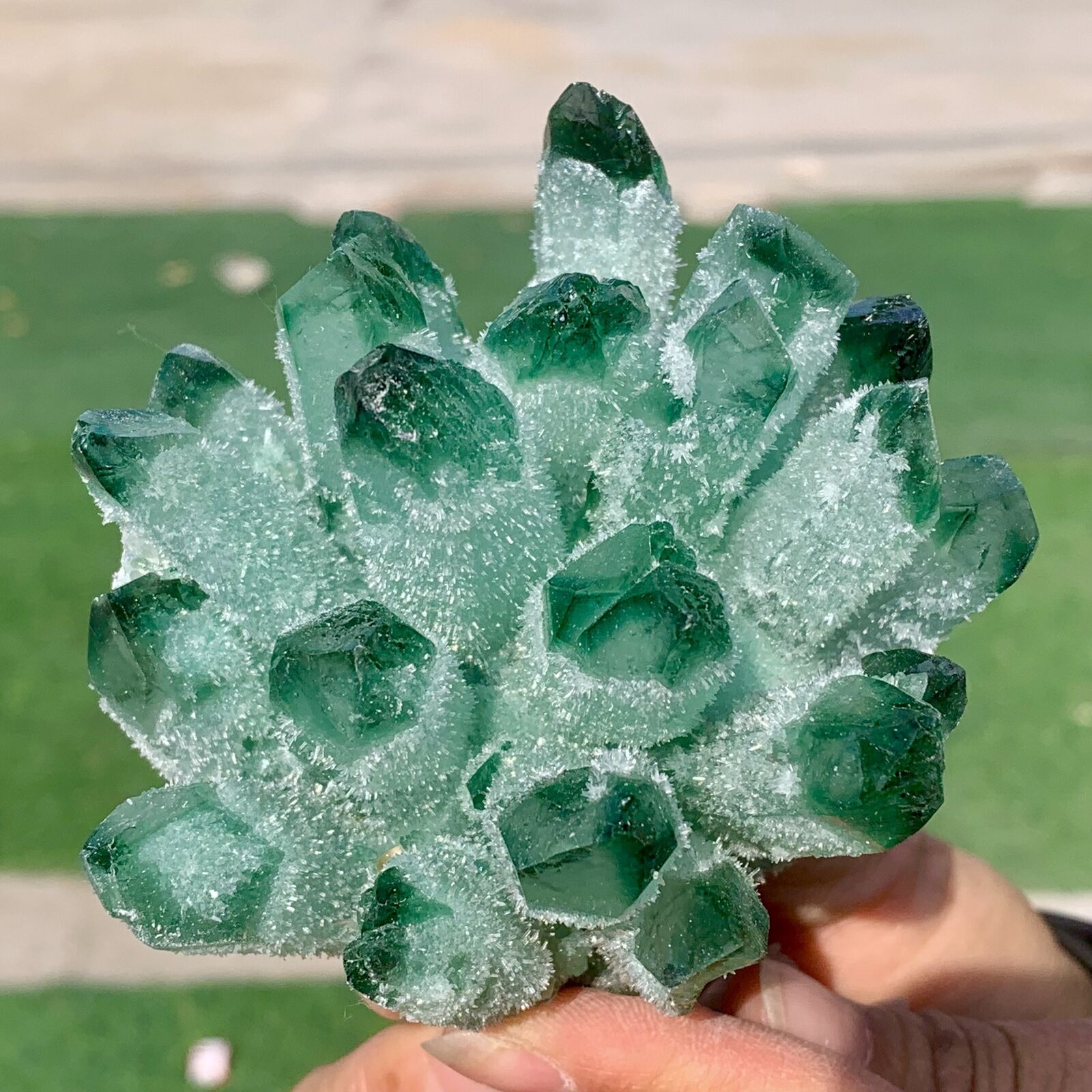 430G Newly discovered green phantom quartz crystal cluster minerals