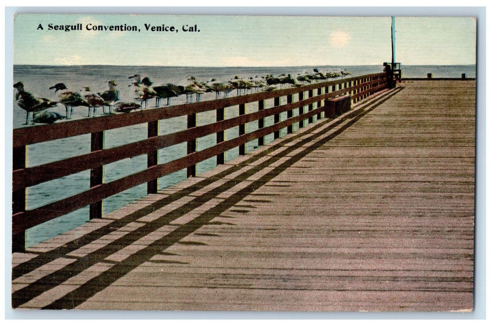 c1910 Scenic View Seagull Convention Venice California Antique Vintage Postcard
