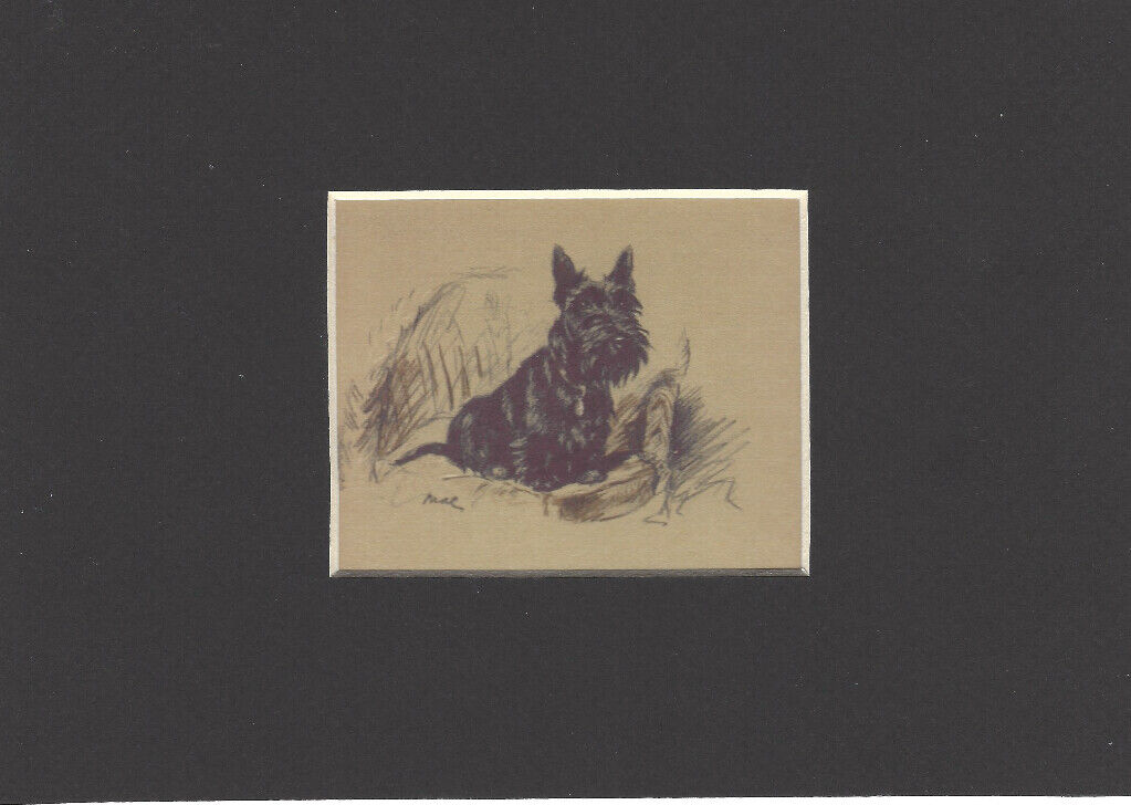 Scottish Terrier - CUSTOM MATTED - Dog Art Print Gift - Lucy Dawson CLEARANCE