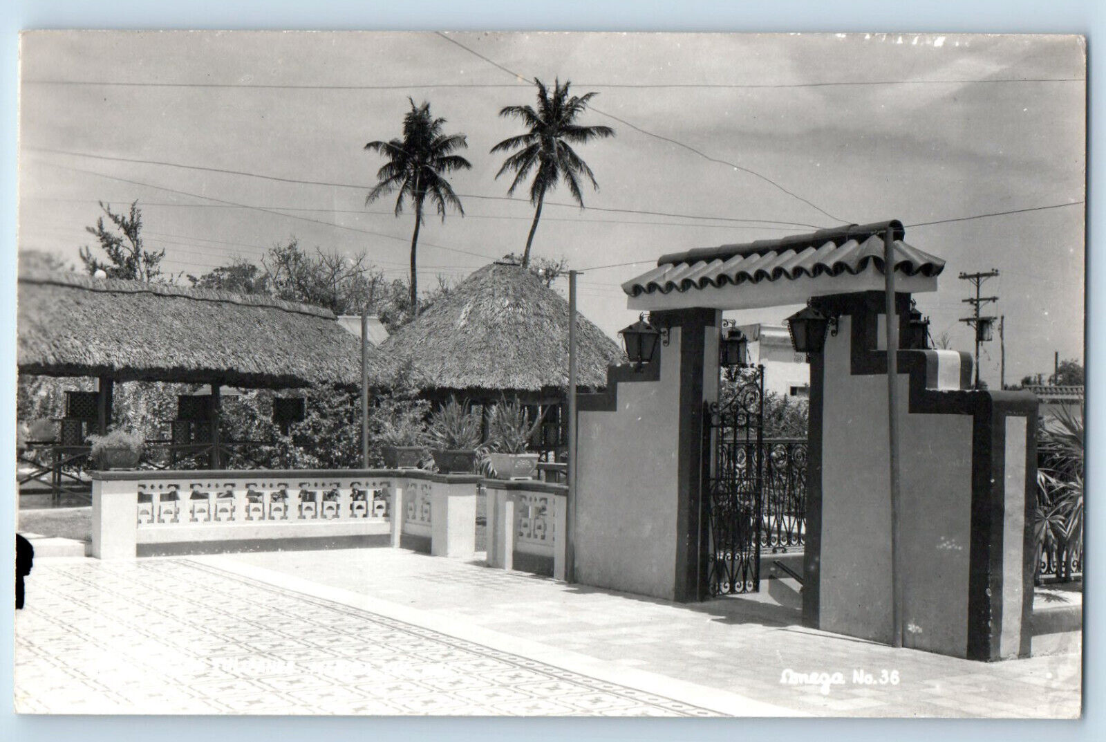 Merida Yucatan Mexico Postcard Los Tulipanes c1950's Vintage RPPC Photo