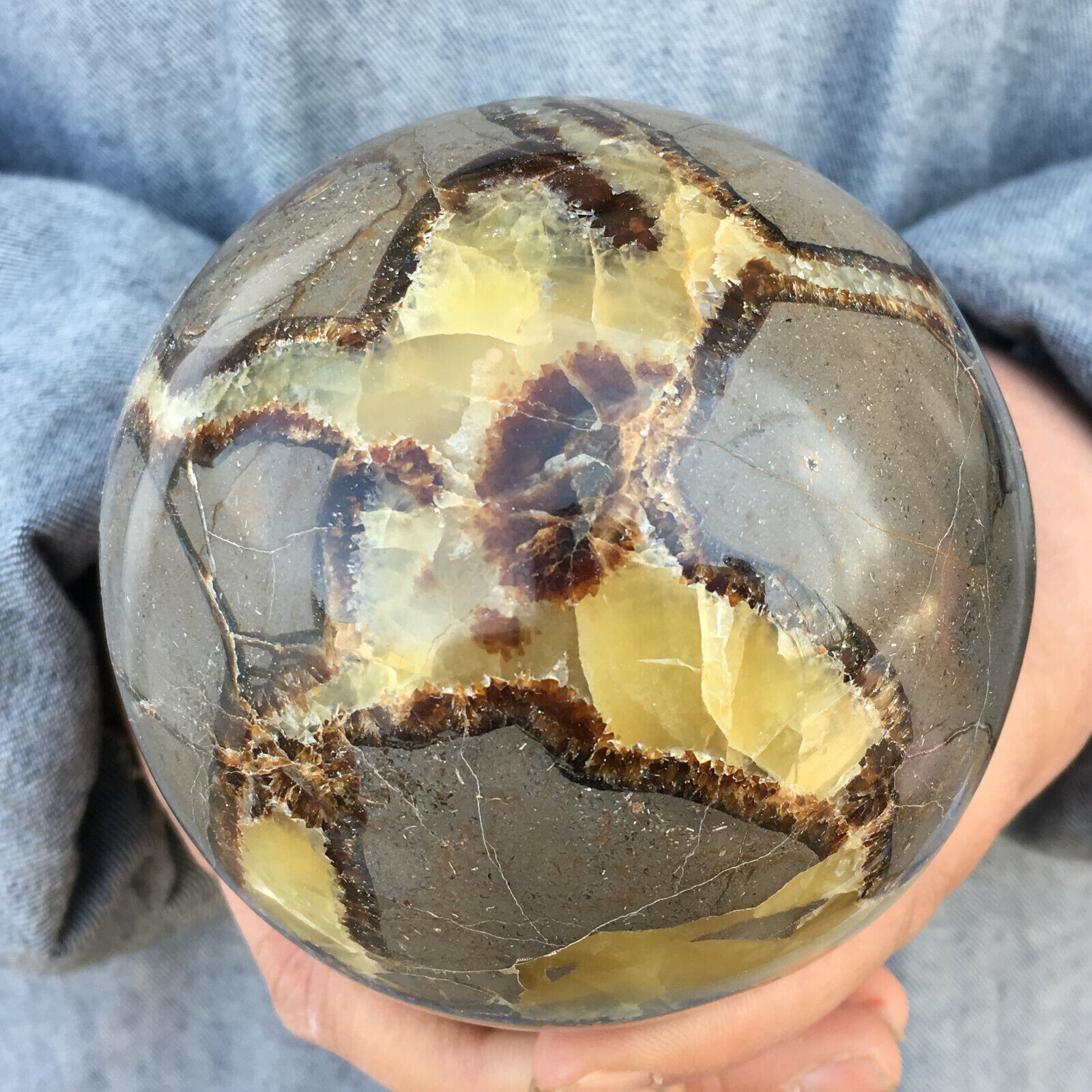 Natural Dragon Septarian Sphere Quartz Crystal Ball Healing 1PC