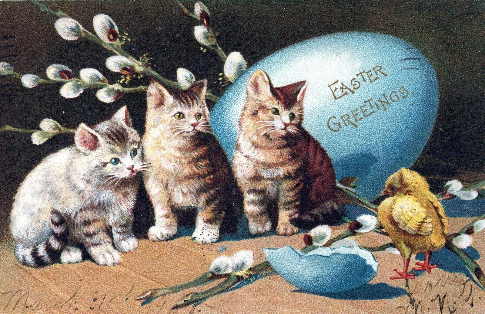 EASTER - Three Cats, Chick And Pussy Willows - udb - 1907