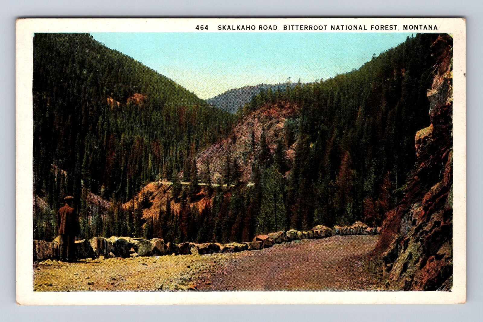 Bitterroot Nat\'l Forest MT-Montana, Skalkaho Road, Antique Vintage Postcard