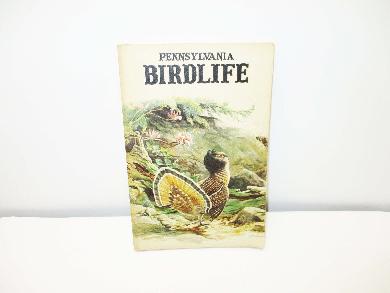 Pennsylvania Birdlife Ned Smith
