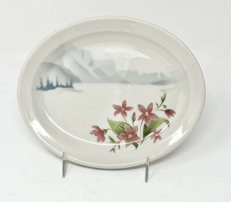 GREAT NORTHERN RY MOUNTAINS & FLOWERS SMALL PLATTER