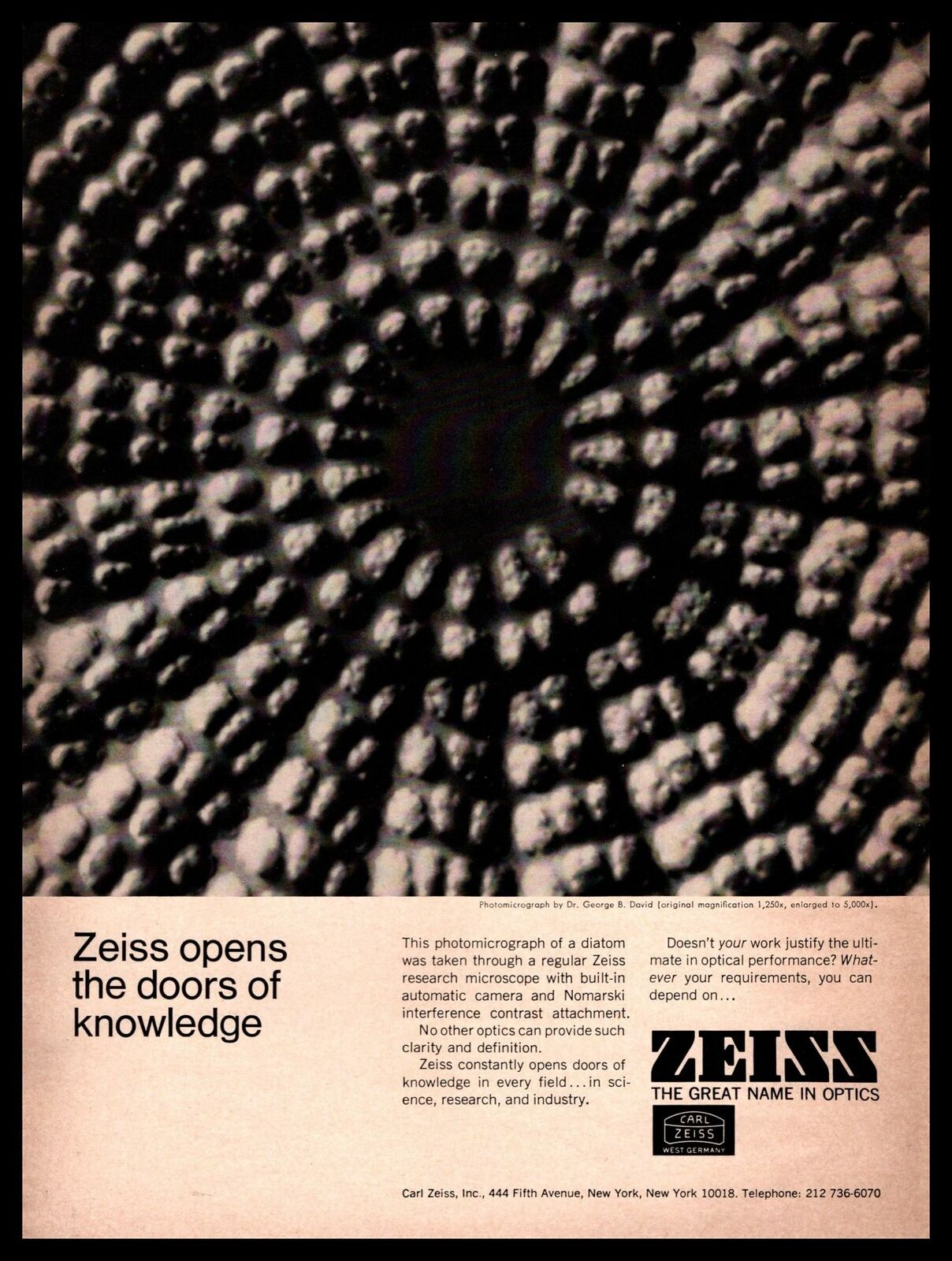 1968 Carl Zeiss Optic Lenses West Germany Photomicrograph Of A Diatom Print Ad