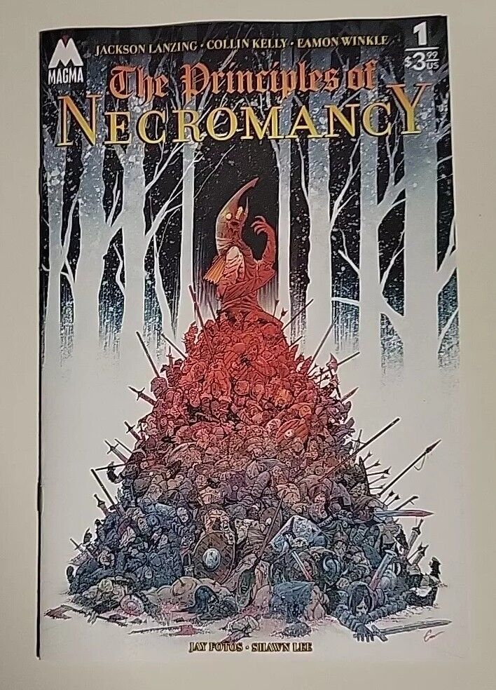 PRINCIPLES OF NECROMANCY #1 04/10/2024 NM-/VF+ COVER A WINKLE (MR) MAGMA COMIX