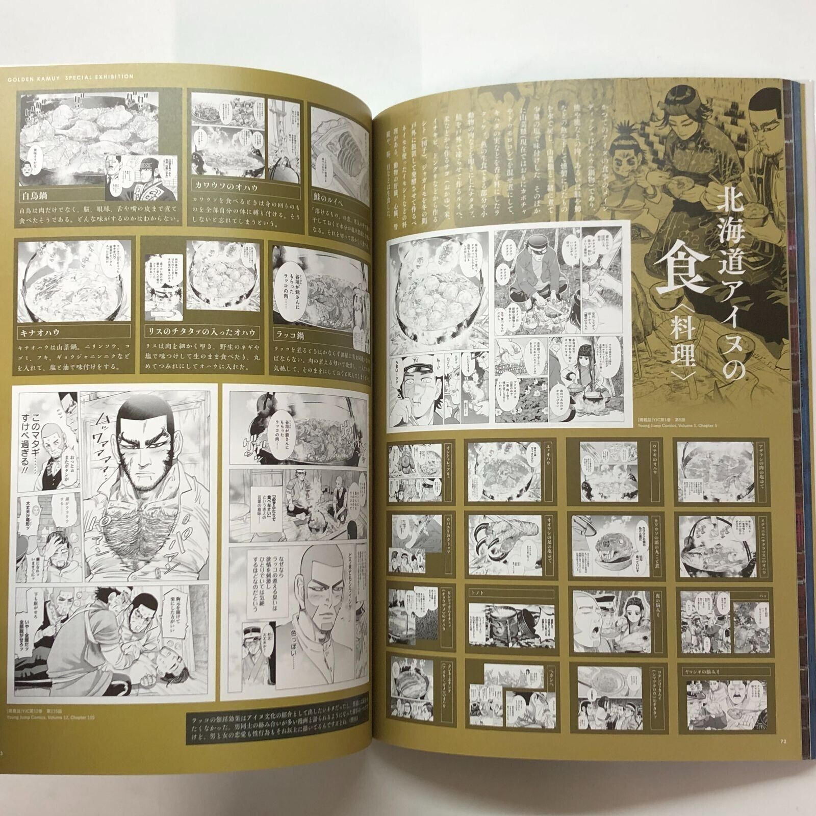 Golden Kamuy Special Exhibition Art Book Illustration Used