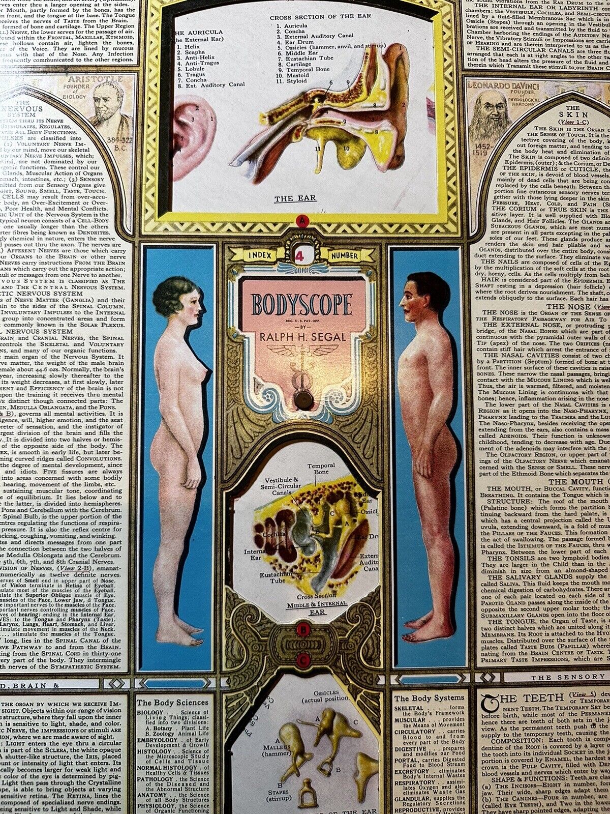 Vintage 2x Bodyscope by Ralph H. Segal Human Anatomy Medical Chart  ~ 1948 TWO