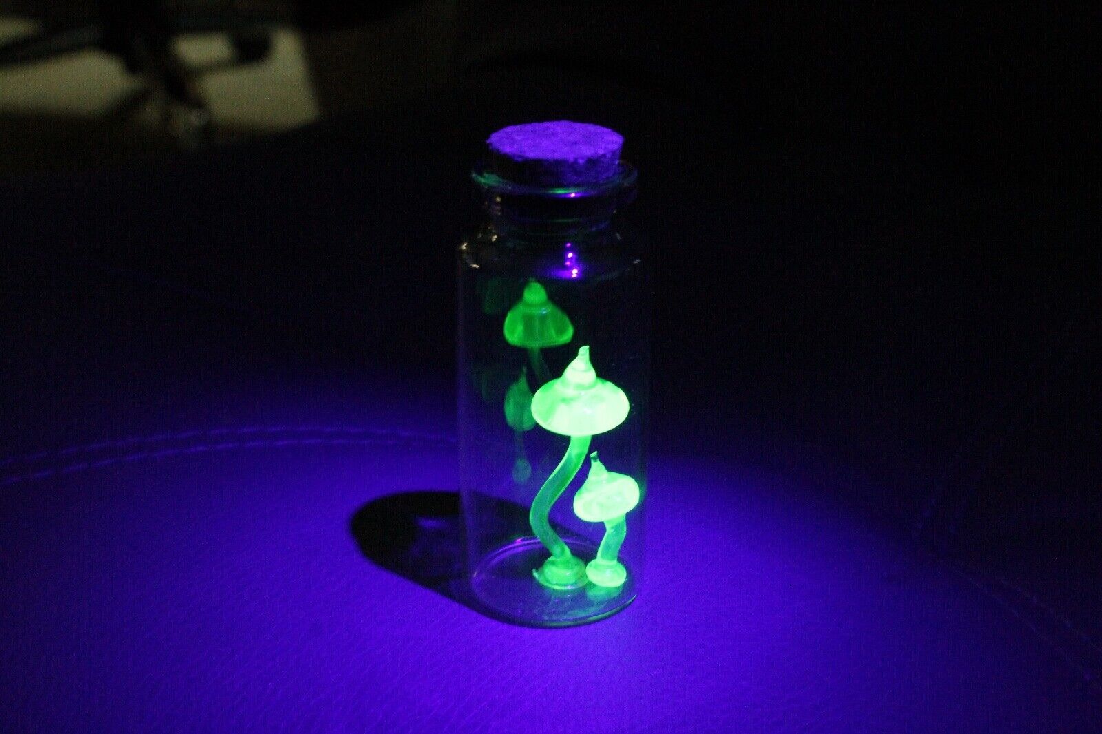 Uranium Glass Magic Mushroom, Glow in the Dark Mushroom in a Bottle , Uranium