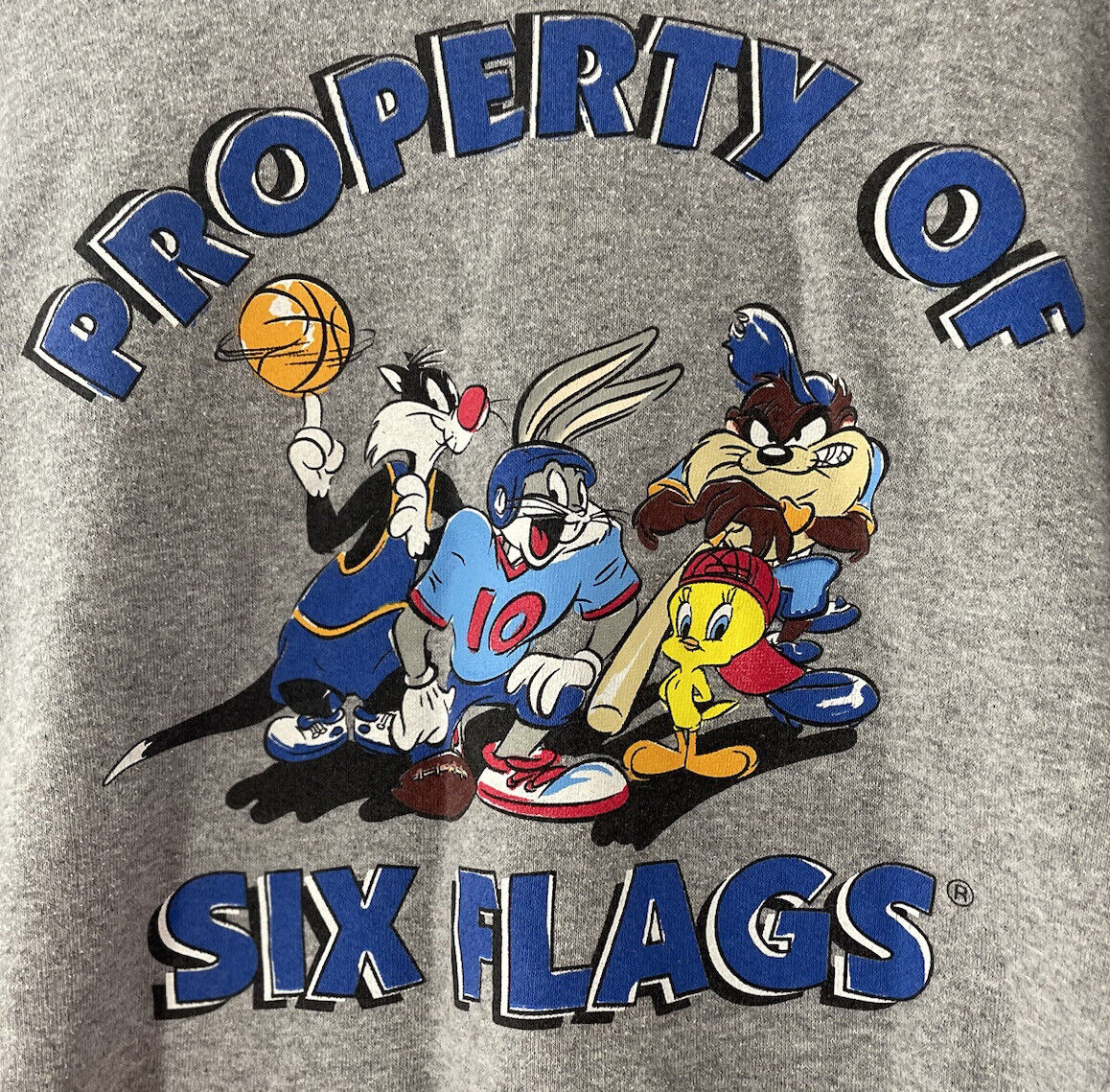 Mens Vintage Looney Tunes 1998 Six Flags Sports Sweatshirt 2XL Bugs Taz Tweety