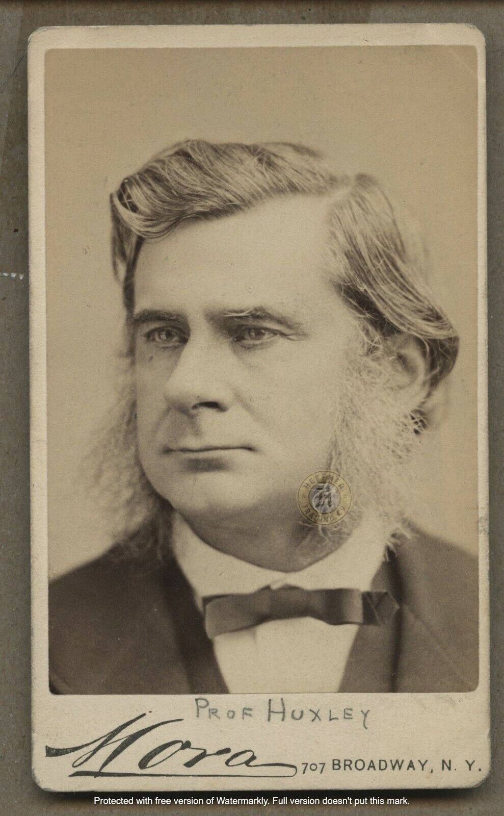 Vintage Biology Scientist Agnostic Thomas Huxley Darwin Evolution CDV Photograph