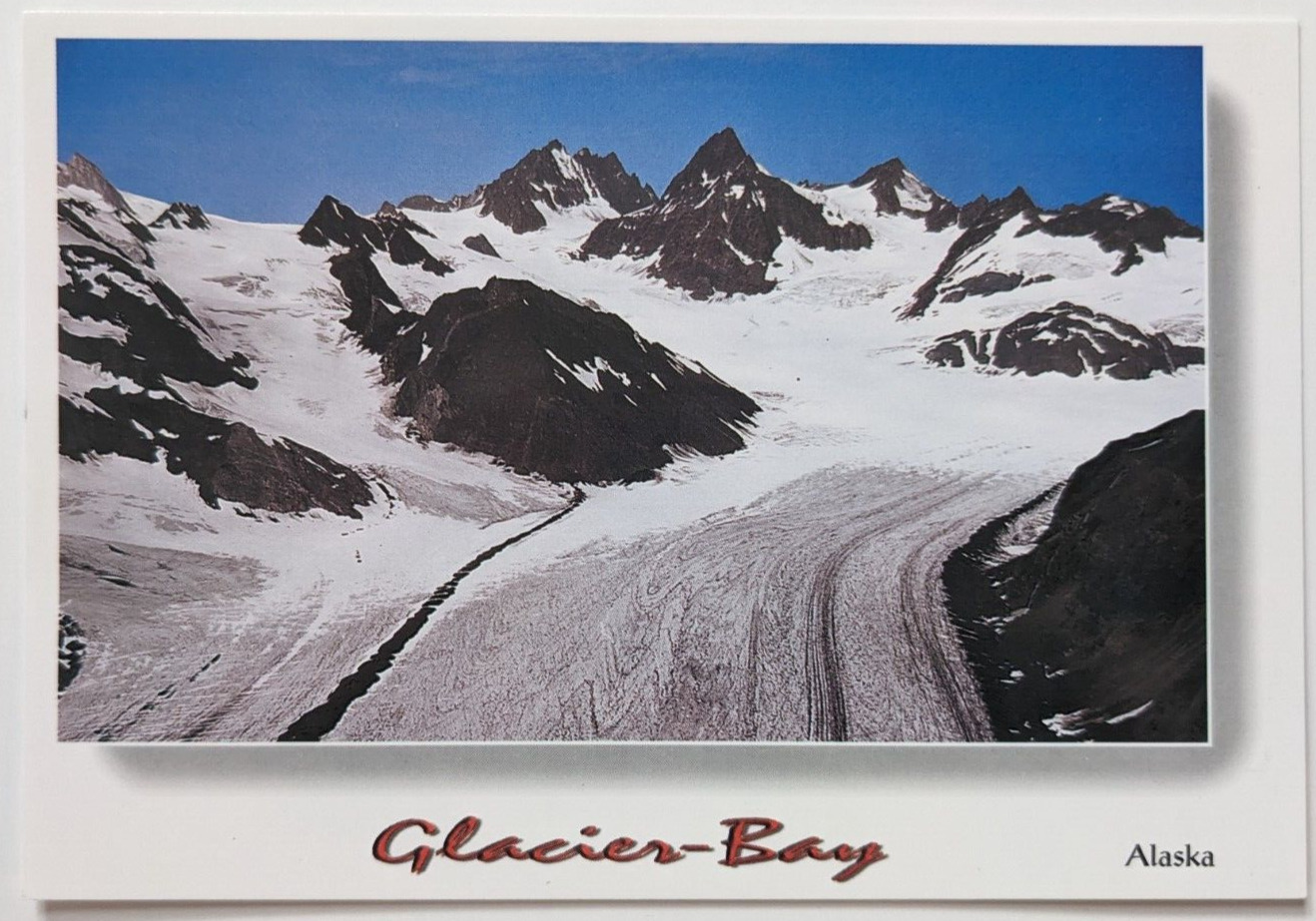 Glacier Bay  Alaska  Continental Postcard  Unposted  A9