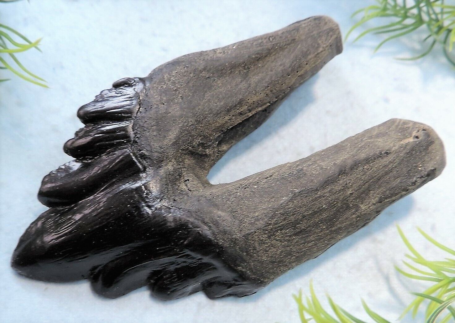 4 INCH LONG ARCHAEOCETE RESIN REPLICA EXTINCT WHALE TOOTH FOSSIL RELIC TEETH NEW