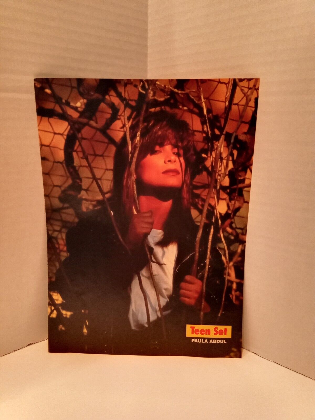 Paula Abdul Pinup Poster Teen Set Magazine 90s RARE