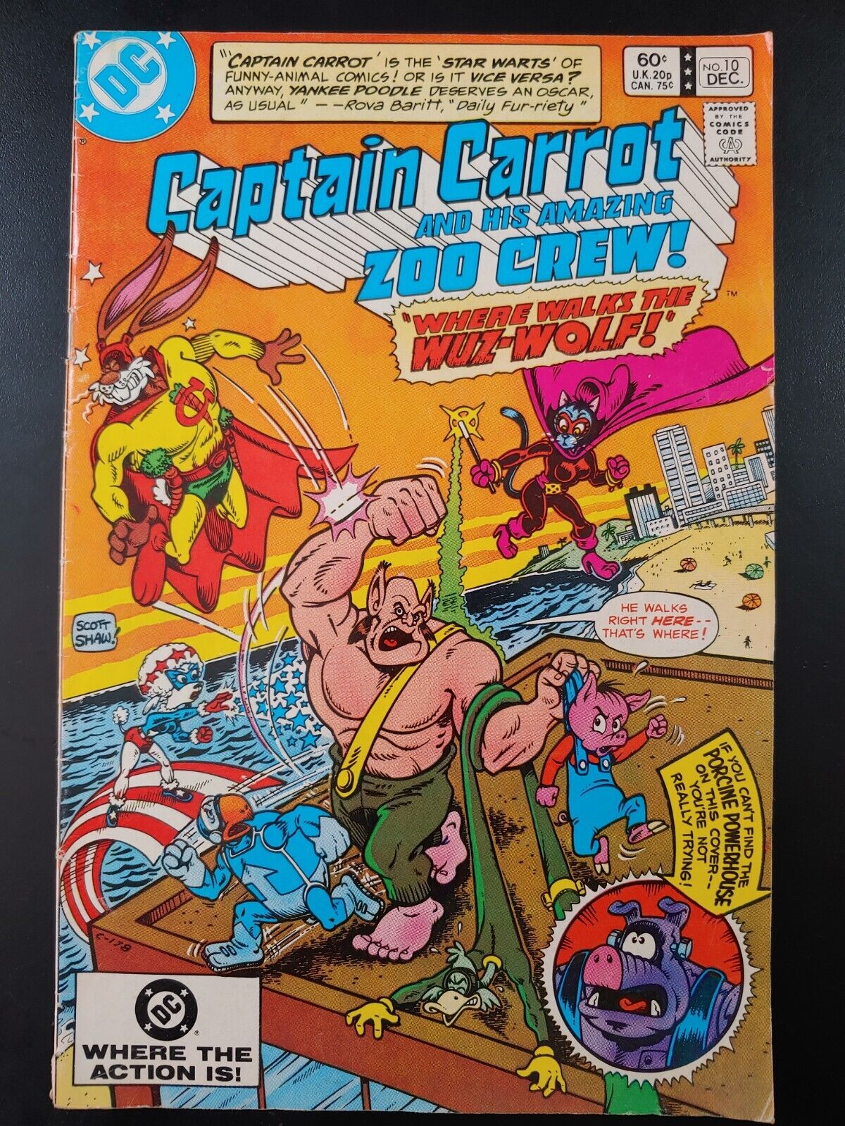 ⭐️ CAPTAIN CARROT and His Amazing ZOO CREW #10 (1982 DC Comics) VG Book