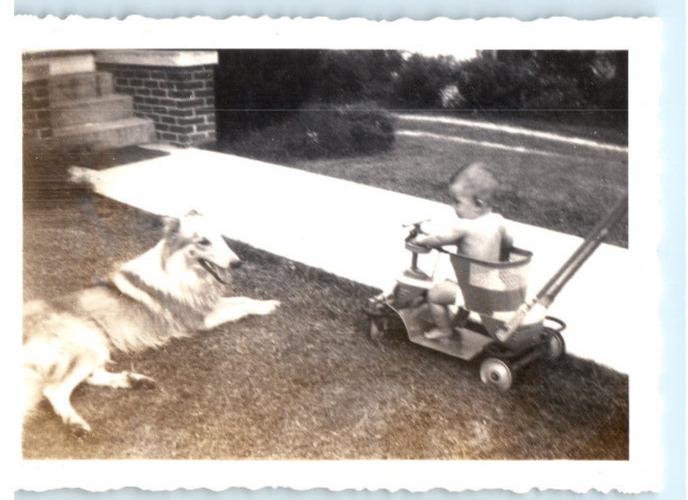 Vintage Photo 1940s, Young Boy on Bouncer, Front Lawn, w/ Dog , 3.5 x 2.5