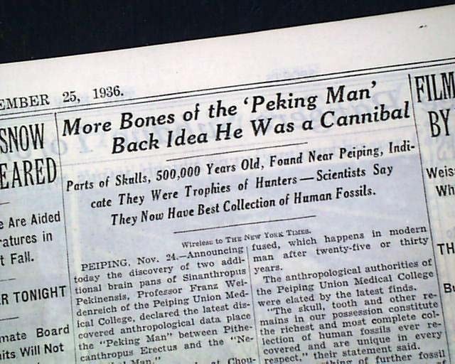 PEKING MAN China Fossils Homo Erectus Bones MISSING LINK Find ? 1936 Newspaper