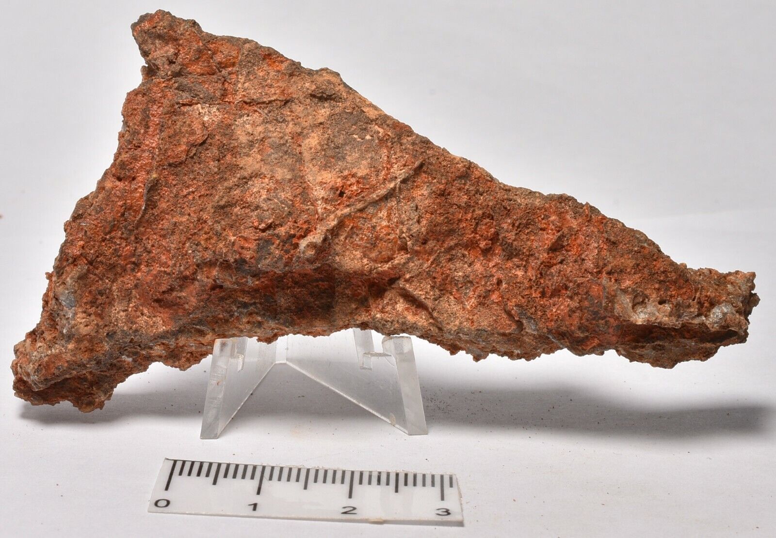 MICROBIAL MAT, Dresser Fmt, Stromatolite, North Pole Dome 30 grams SM101
