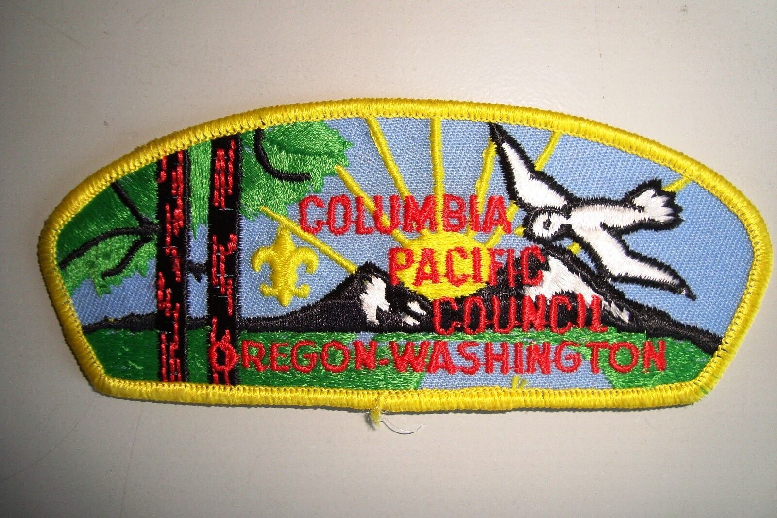 OA COLUMBIA PACIFIC COUNCIL SHOULDER PATCH CSP BIRD PLASTIC BACK SERVICE FLAP