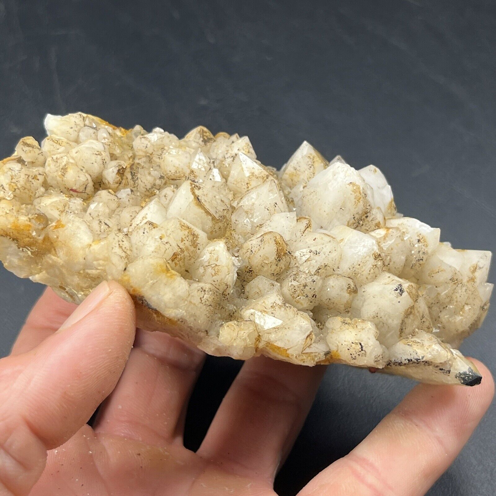 DOCUMENTED POCKET Skeletal Milky Quartz Crystal Cluster | Diamond Hill Mine