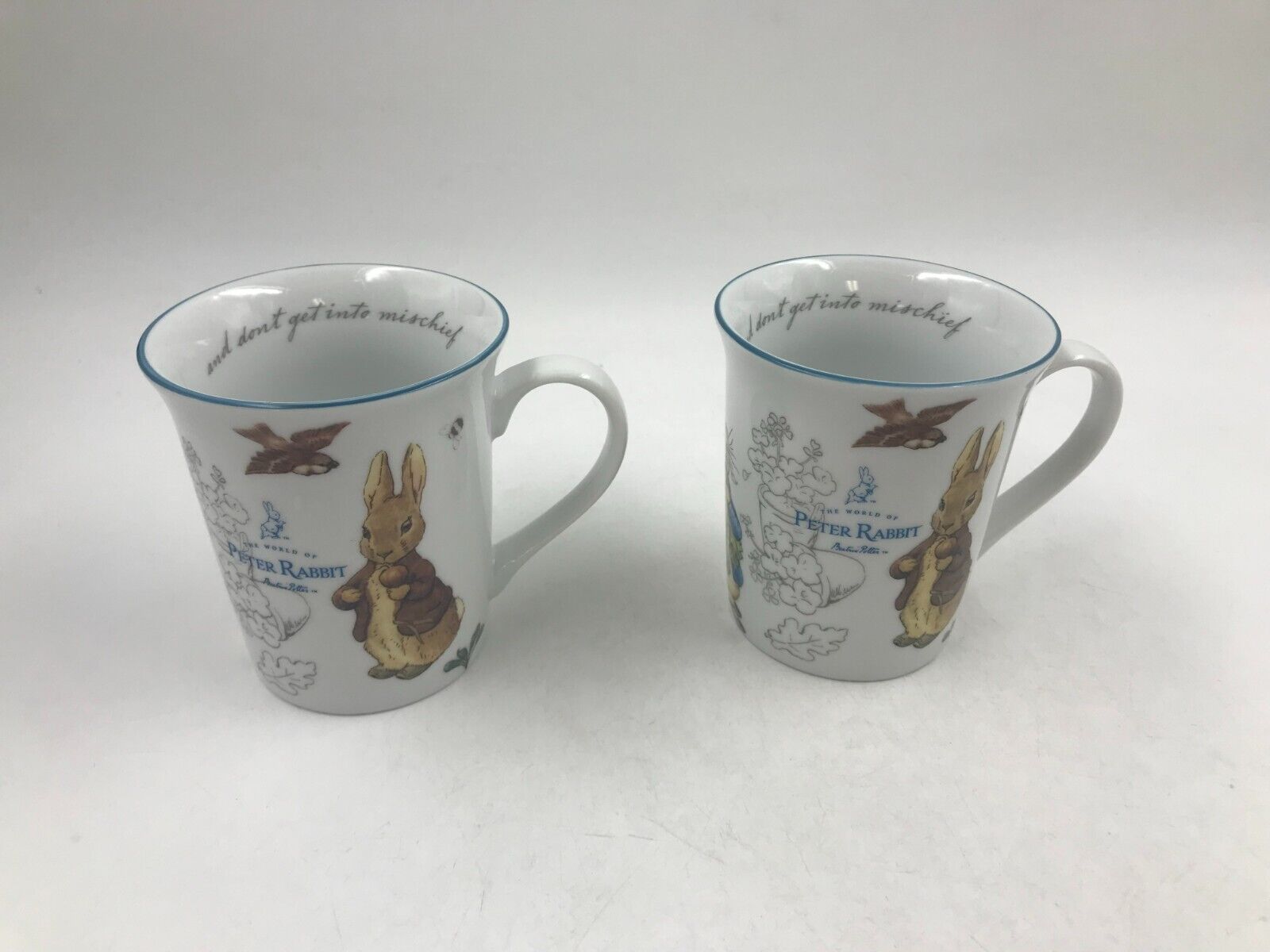 Beatrice Potter Porcelain 15oz Peter Rabbit Mug Set For 2 AA02B09030
