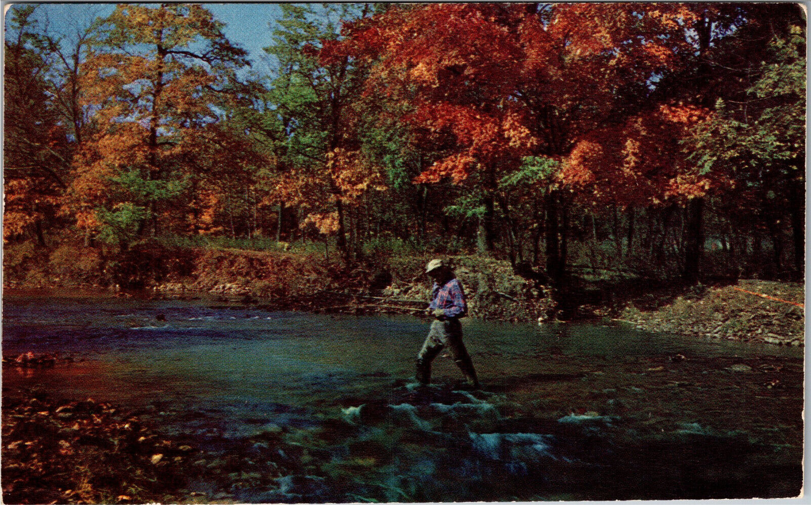 Fishing in Stream, Autumn Leaves Changing Colors Vintage Postcard