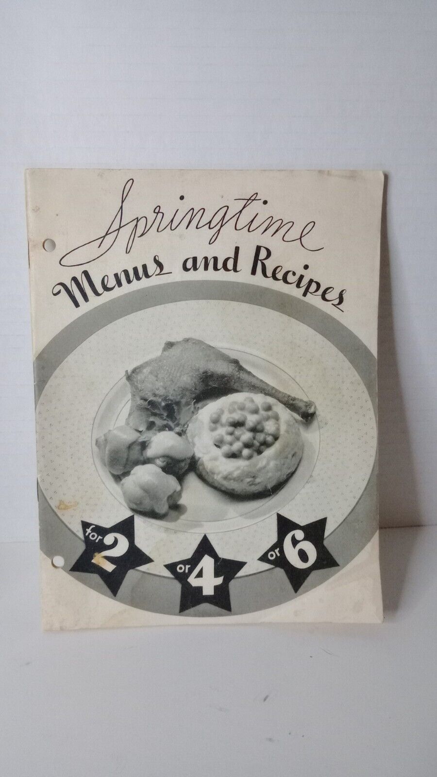 Vintage 1935 Springtime Menus and Recipes for 2 or 4 or 6 cook Booklet