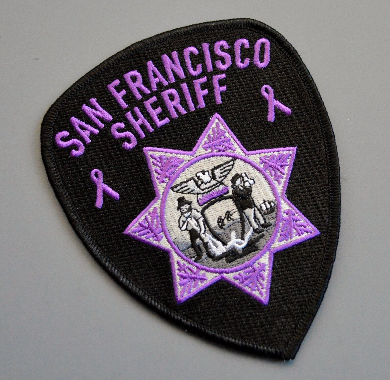 San Francisco Sheriff Domestic Violence Awareness Patch ++ Mint CA
