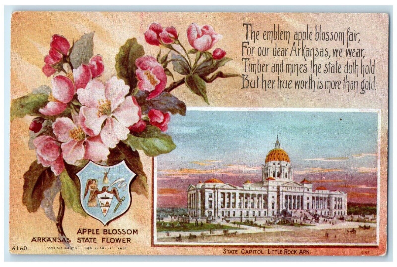 c1910 Apple Blossom Arkansas State Flower State Capitol Little Rock AR Postcard