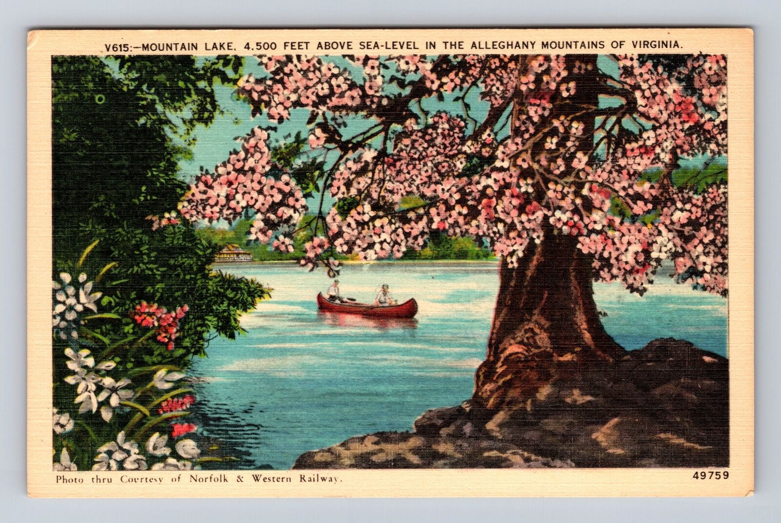 Mountain Lake VA-Virginia, Sea Level In Alleghany Mountains, Vintage Postcard
